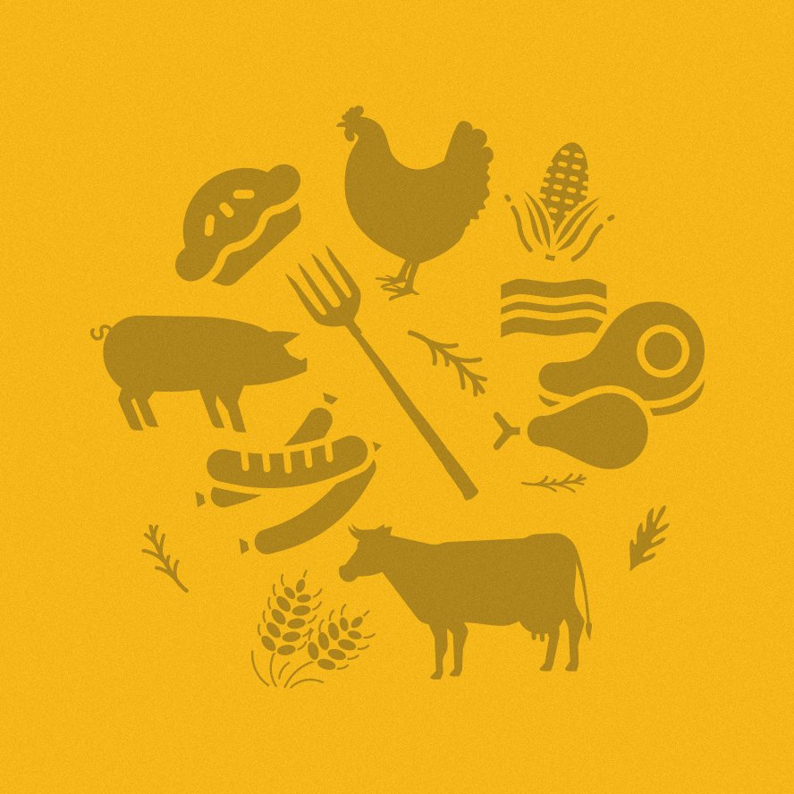 De la fourche à l’assiette, toutes les étapes de notre production